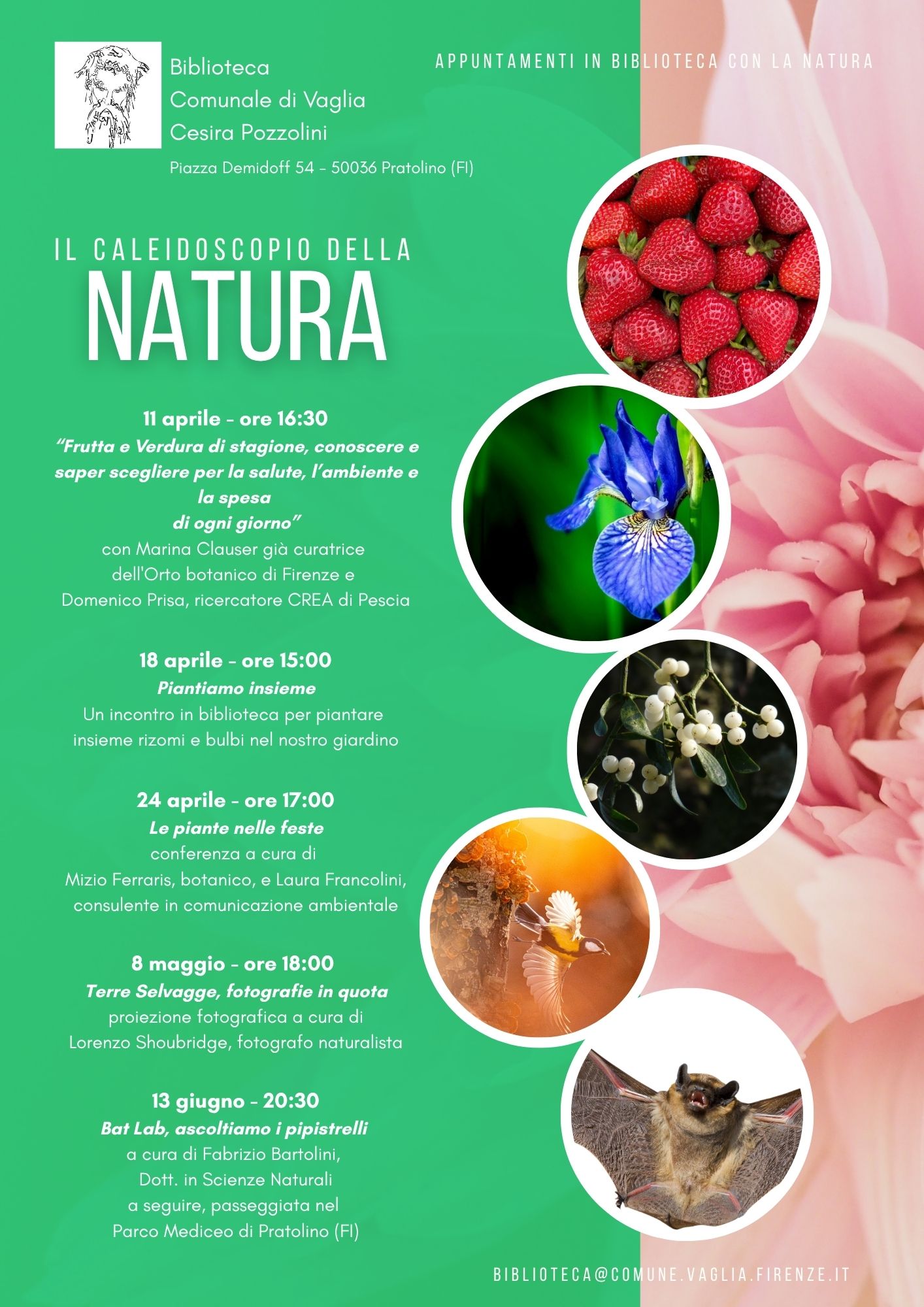 descrizione immagine